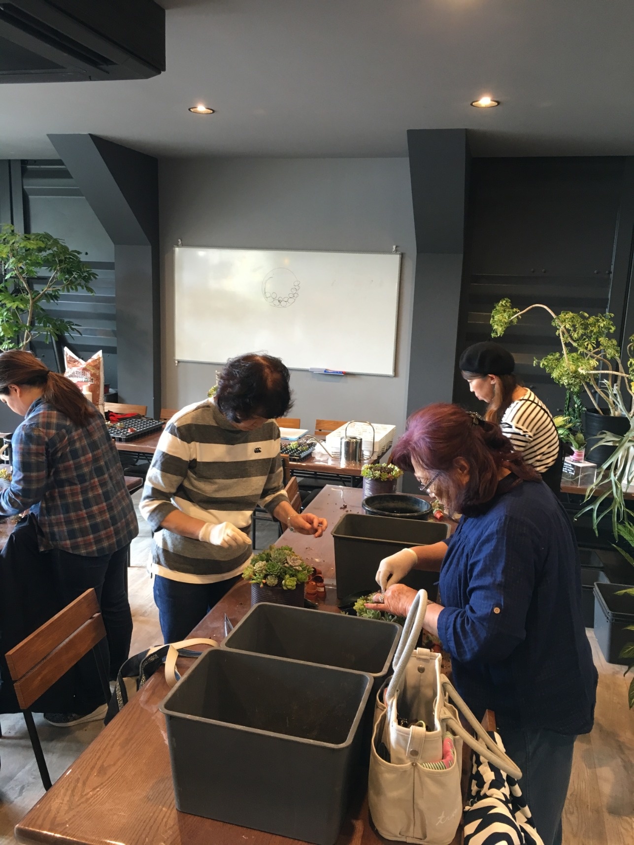 4月13日 多肉植物の寄せ植え教室のレポート レポート Fukuoka Effect フクオカ エフェクト 福岡 市西区西の丘のガーデニングショップ
